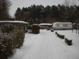 img49.jpg
