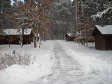 img31.jpg