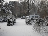 img32.jpg
