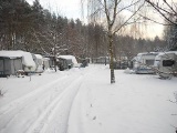 img35.jpg