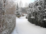 img70.jpg