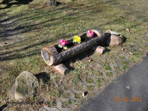 DSCN2327.JPG